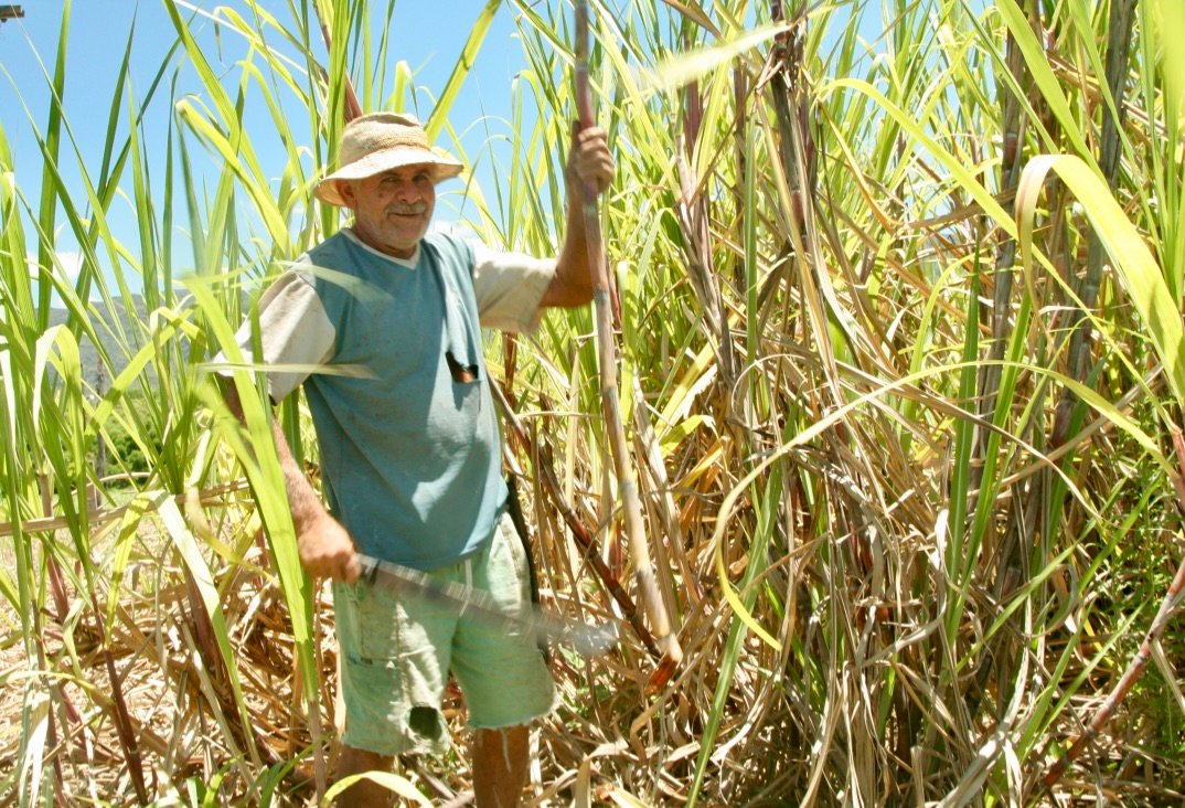 Copy of 1536AAB2-B651-43A7-973E-7455369CCC8A_1_105_c