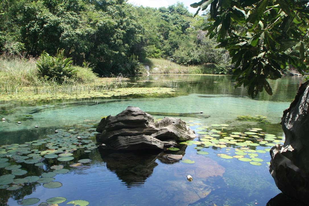 Copy of 43EB2CAF-9DDE-4E38-9724-C22C28A0E3F0_1_105_c